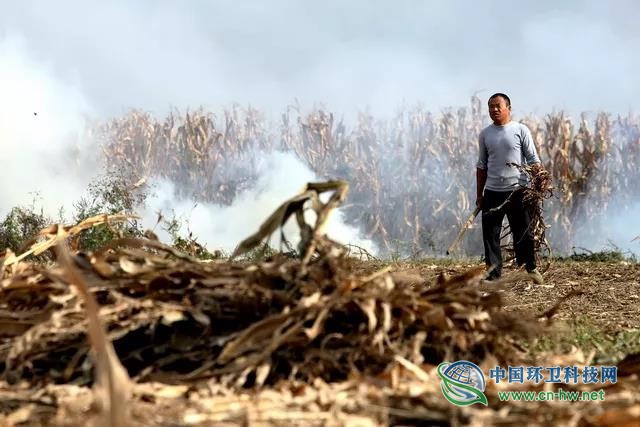 投资效益近4万亿！农村废物资源化利用成&ldquo;蓝海&rdquo;