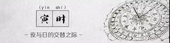 上海垃圾分类的十二时辰