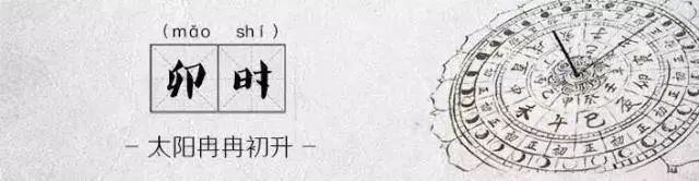 上海垃圾分类的十二时辰