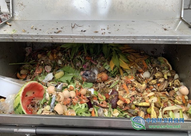 上海垃圾分类满月：湿垃圾因炎热臭到崩溃 代扔垃圾生意惨淡