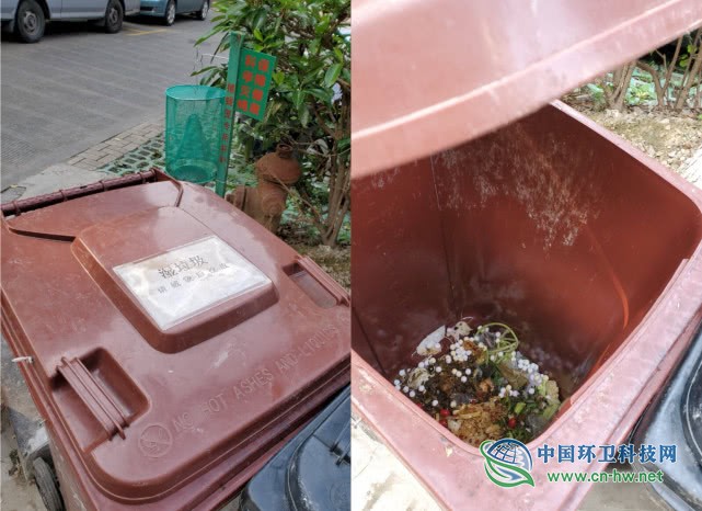 上海垃圾分类满月：湿垃圾因炎热臭到崩溃 代扔垃圾生意惨淡