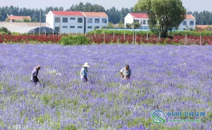 淮北整治人居环境展现村洁家净水清美景