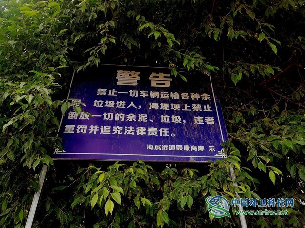 1公里垃圾带与海洋仅隔20米，广东村民说这样可以“防台风”