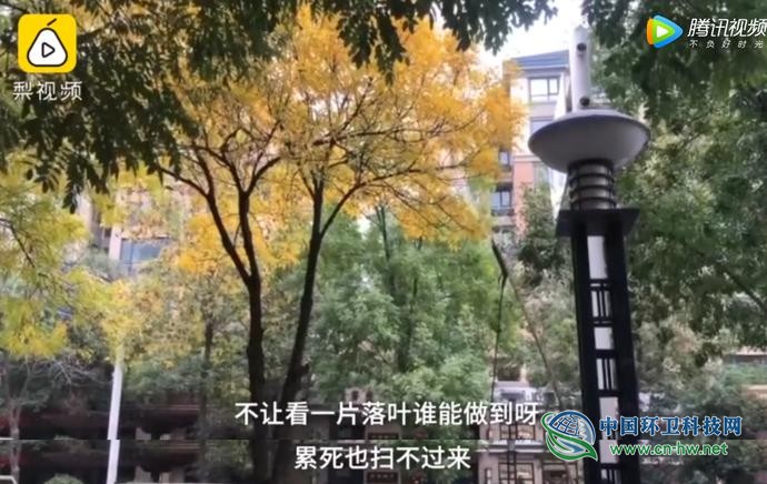 官方回应｜郑州环卫工用高压水枪打树叶后续