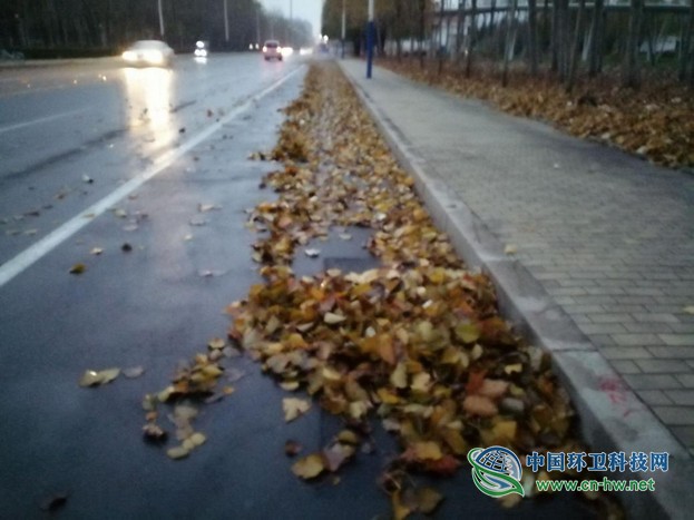 春沐风雨秋扫叶,夏战酷暑冬披雪——滨环人的“四季”之奋战落叶季