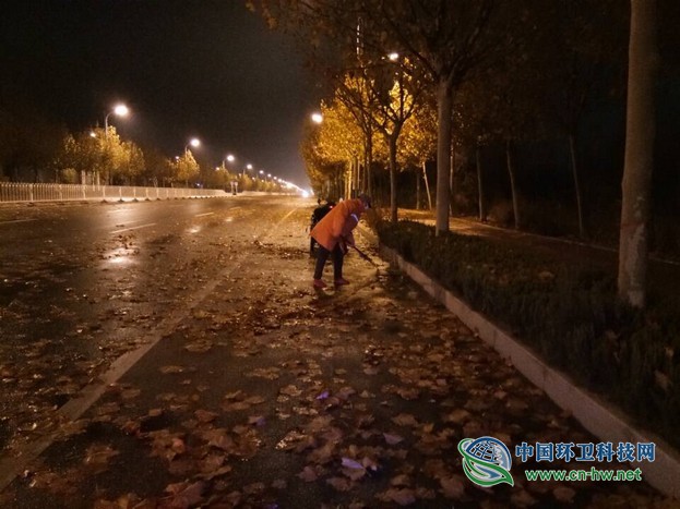 春沐风雨秋扫叶,夏战酷暑冬披雪——滨环人的“四季”之奋战落叶季