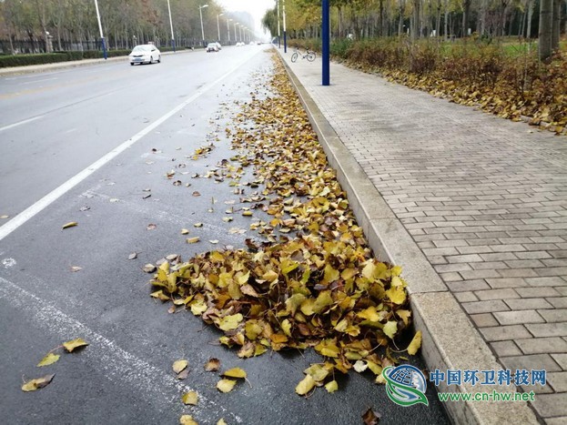春沐风雨秋扫叶,夏战酷暑冬披雪——滨环人的“四季”之奋战落叶季