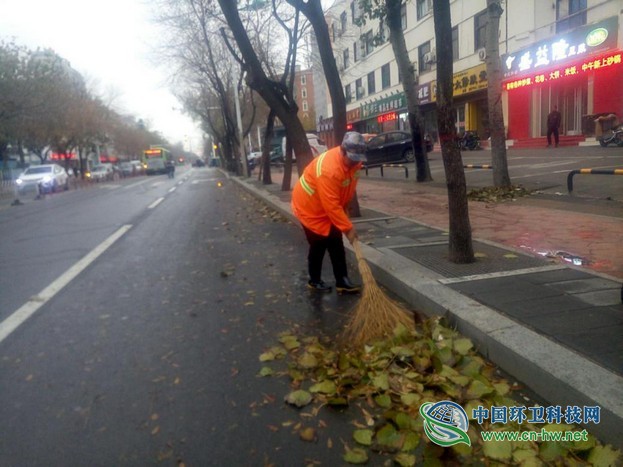 春沐风雨秋扫叶,夏战酷暑冬披雪——滨环人的“四季”之奋战落叶季