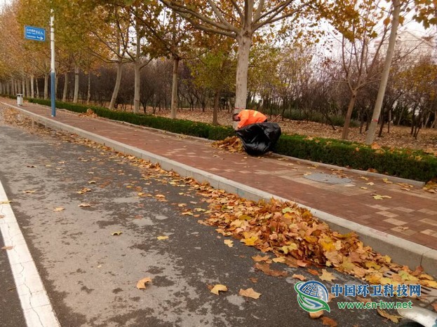 春沐风雨秋扫叶,夏战酷暑冬披雪——滨环人的“四季”之奋战落叶季