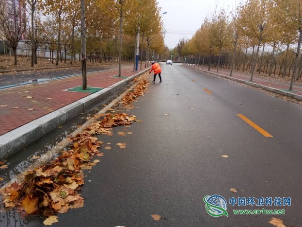 春沐风雨秋扫叶,夏战酷暑冬披雪——滨环人的“四季”之奋战落叶季