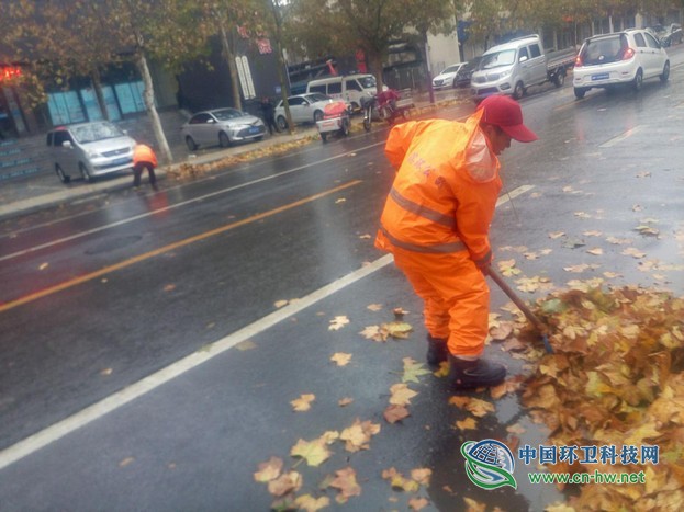 春沐风雨秋扫叶,夏战酷暑冬披雪——滨环人的“四季”之奋战落叶季
