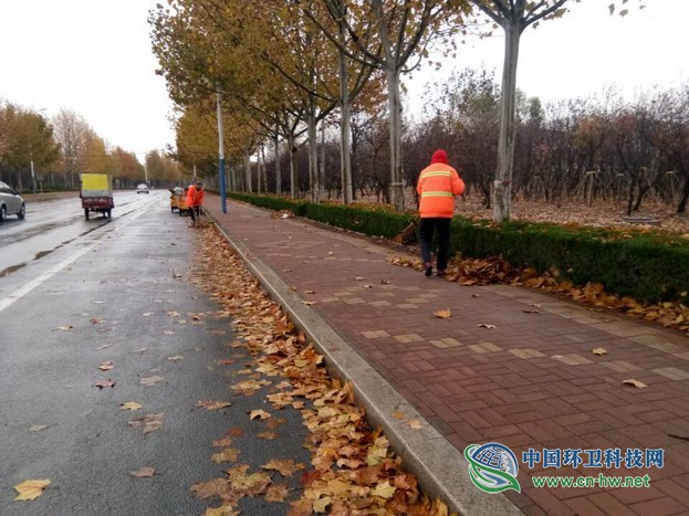 春沐风雨秋扫叶,夏战酷暑冬披雪——滨环人的“四季”之奋战落叶季