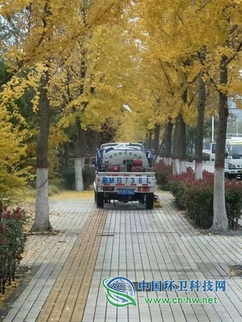 春沐风雨秋扫叶,夏战酷暑冬披雪——滨环人的“四季”之奋战落叶季