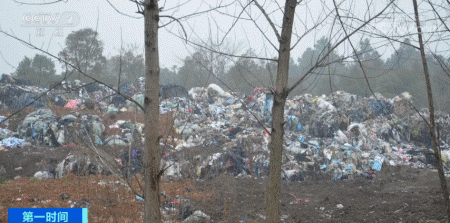 7000多吨工业垃圾跨省偷运倾倒,11名被告人被判刑并罚款1100万