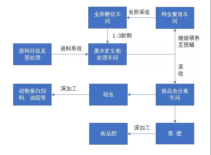 338元/吨，东莞要用黑水虻&ldquo;吃掉&rdquo;厨余垃圾！
