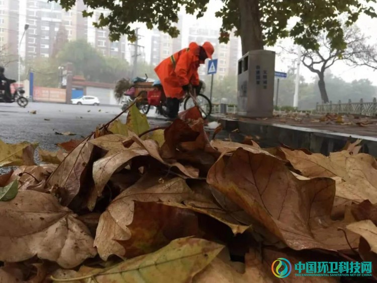 降雨+降温！邢台环卫工人加班加点忙清洁