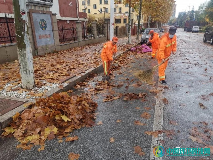 山东平度：雨后落叶萧萧下 环卫工人清扫忙