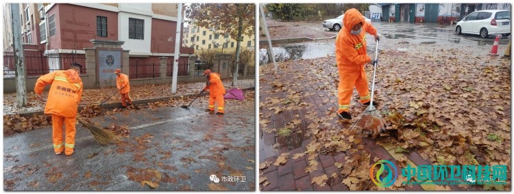 山东平度：雨后落叶萧萧下 环卫工人清扫忙