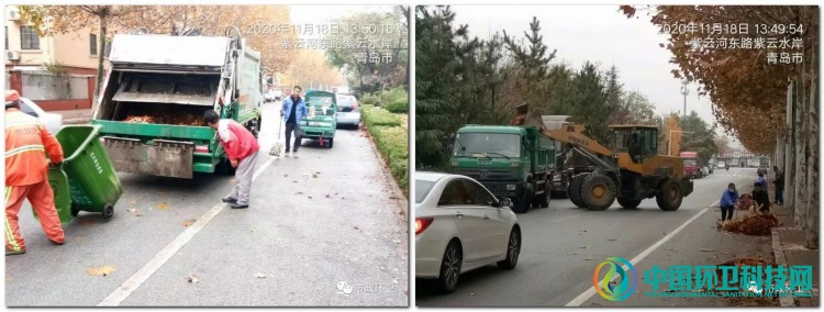 山东平度：雨后落叶萧萧下 环卫工人清扫忙