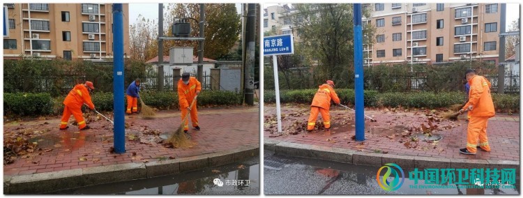 山东平度：雨后落叶萧萧下 环卫工人清扫忙