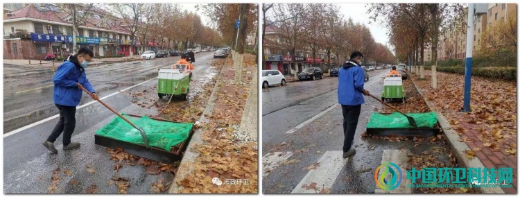 山东平度:雨后落叶萧萧下 环卫工人清扫忙