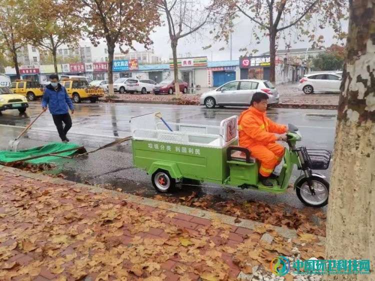 山东平度:雨后落叶萧萧下 环卫工人清扫忙