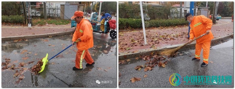 山东平度:雨后落叶萧萧下 环卫工人清扫忙