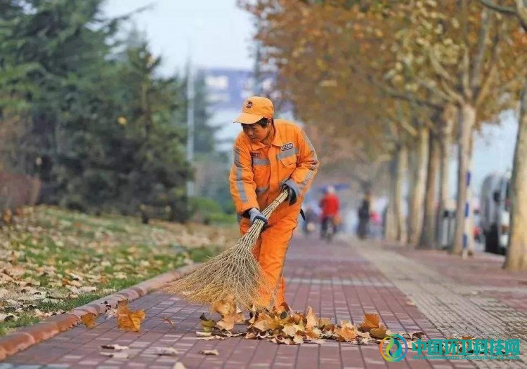 是谁，给了城市“落叶不扫”的底气？