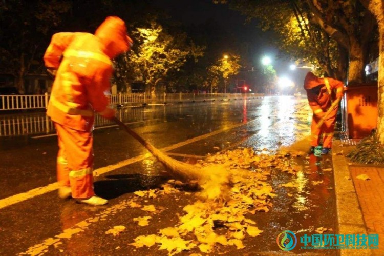 是谁，给了城市“落叶不扫”的底气？