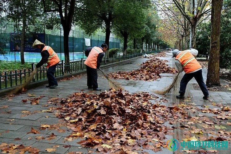 冬雨“扫”落叶！随州环卫工加班加点迎战清洁一线