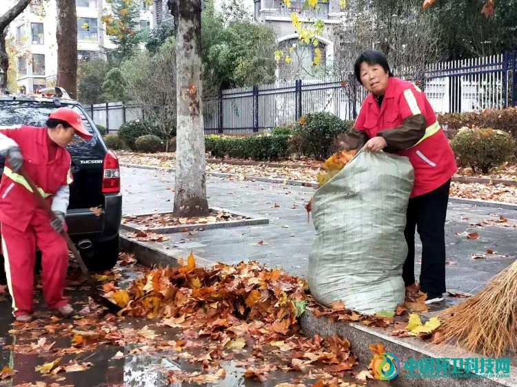 黄色的落叶路上的那些红装人——“城市美容师”