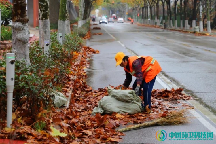 无边落叶萧萧下，日照市打响道路清扫&ldquo;攻坚战&rdquo;
