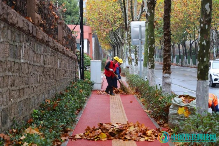 无边落叶萧萧下，日照市打响道路清扫&ldquo;攻坚战&rdquo;