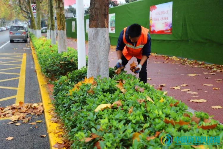 无边落叶萧萧下，日照市打响道路清扫&ldquo;攻坚战&rdquo;