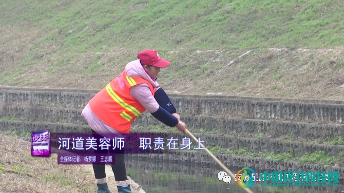 星原环境郑成芹：河道美容师，职责在身上