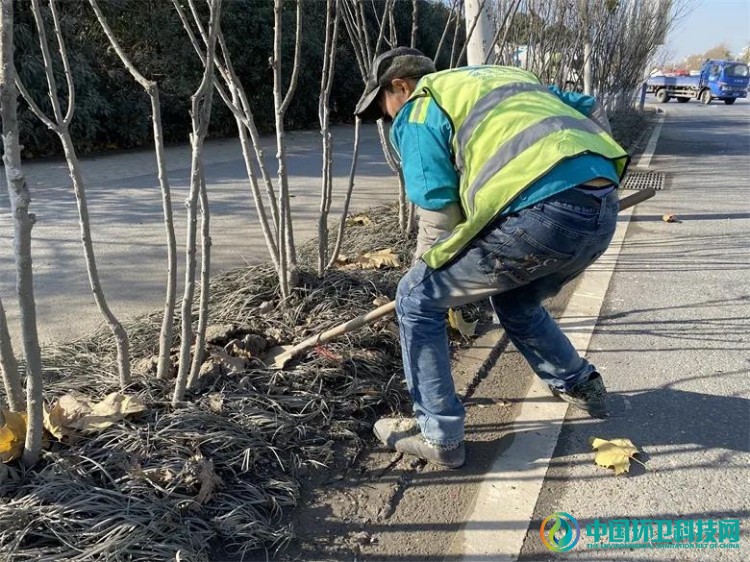 道路绿化+环卫清洁！合肥市主干道旧貌换新颜