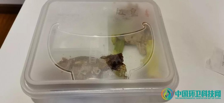 广州禁塑方案实施三天，结果怎么样？