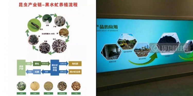 浙江绍兴：加强垃圾源头减量及后端处理，推动城市“无废化”建设