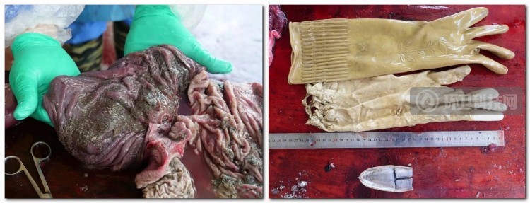 你随意丢弃的口罩，正在杀死它们&hellip;&hellip;