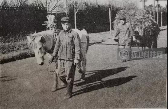 上海生活垃圾运输的变迁