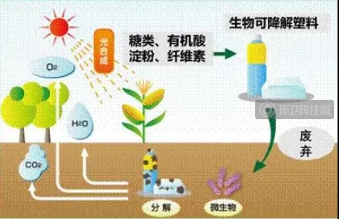 “可降解塑料”不是塑料吗？